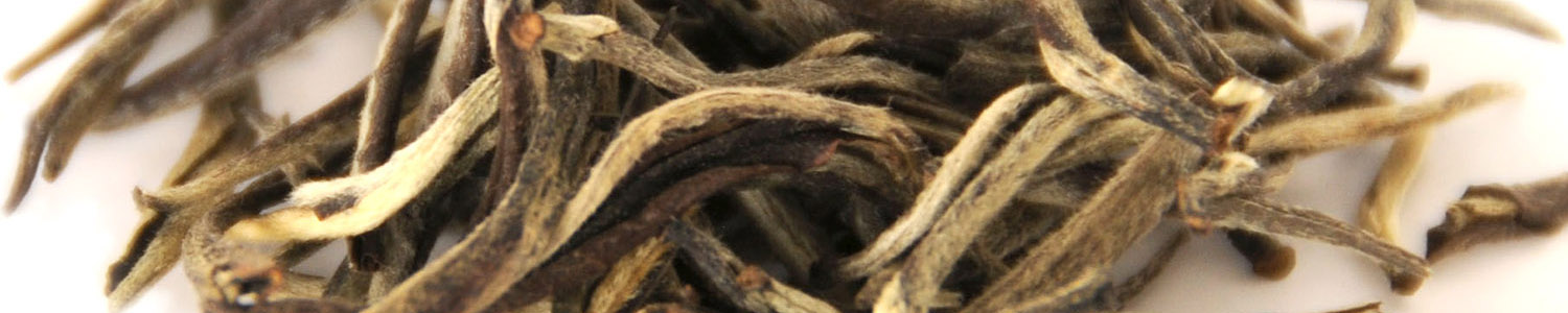White Tea