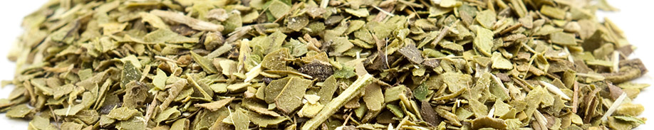 Yerba Mate Tea